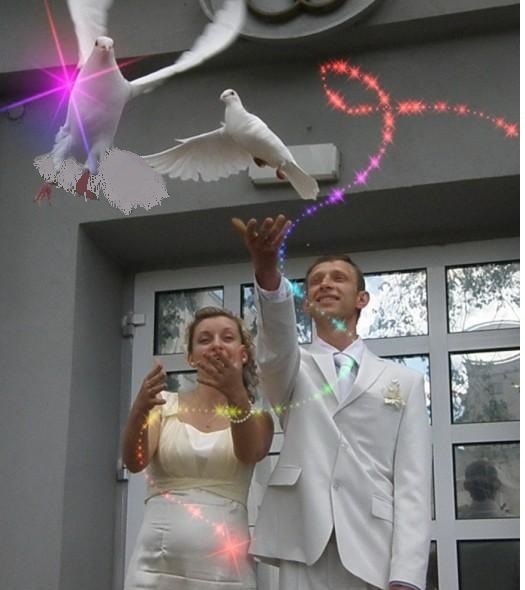 голуби на свадьбу
